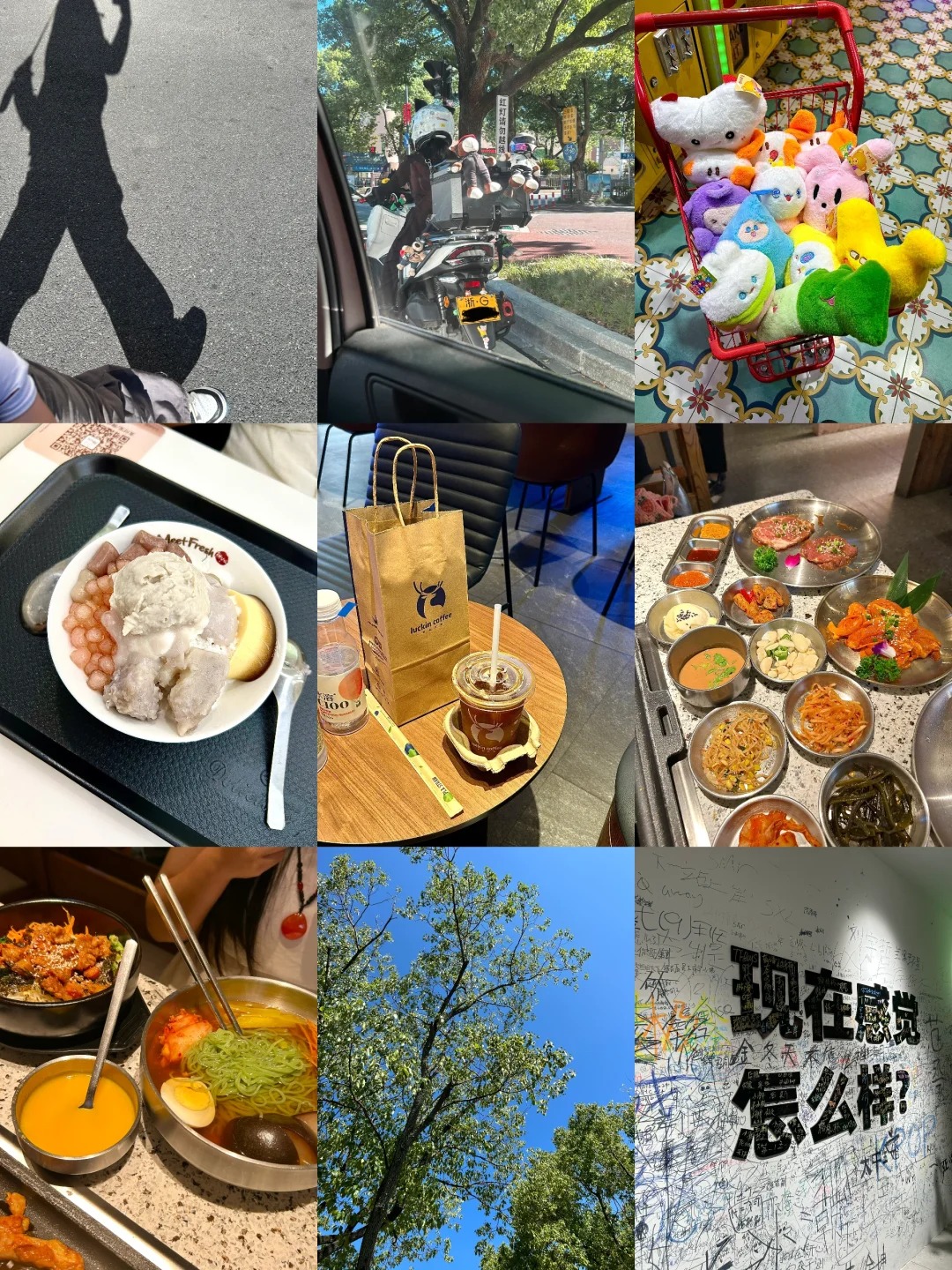 plog｜开心的话 日子就不算虚度_1_N._来自小红书网页版.jpg